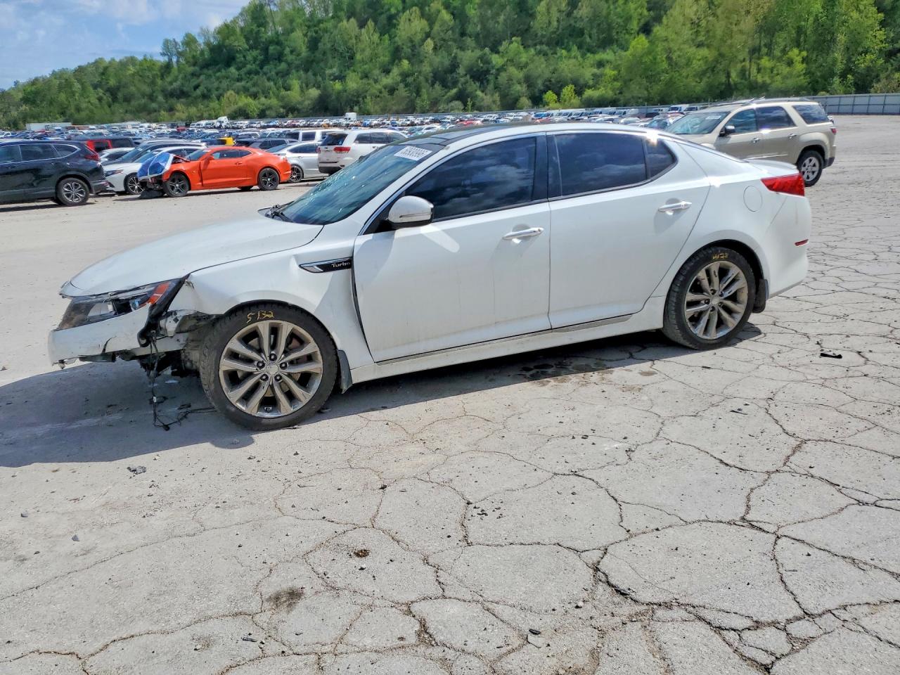 Salvage Kia Optima Image