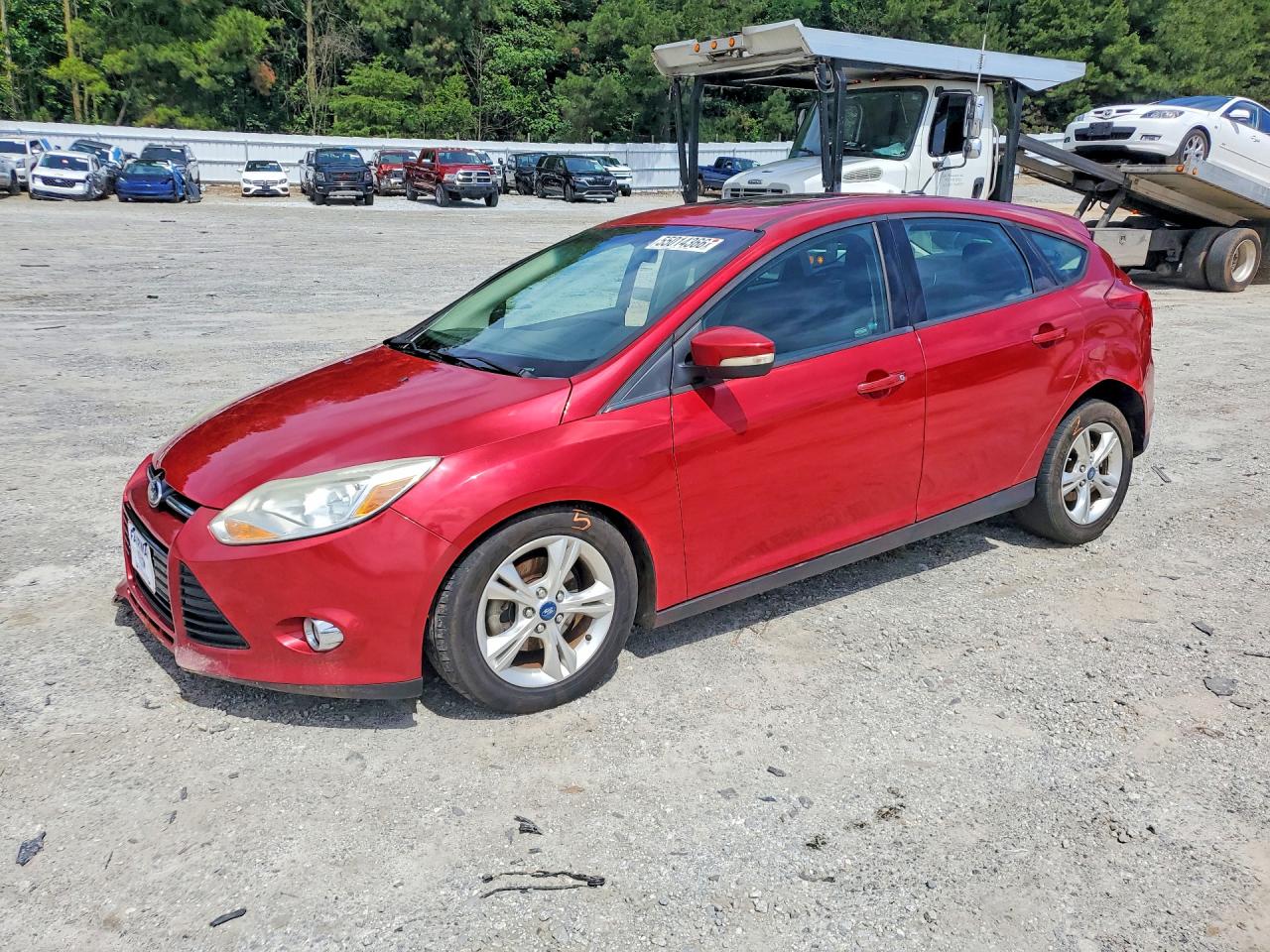 Salvage Ford Focus Image