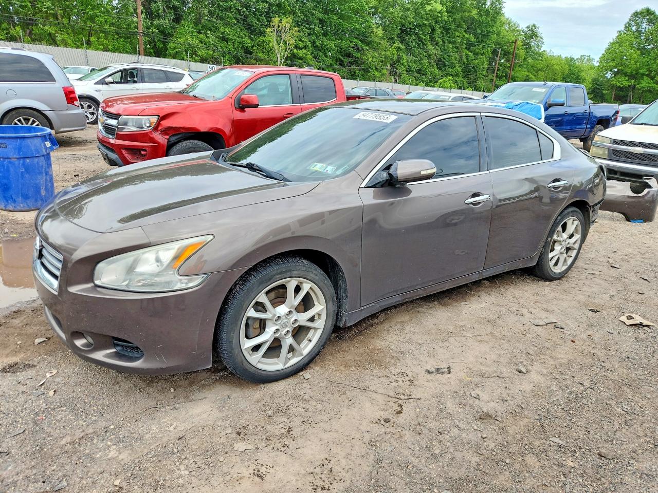 Salvage Nissan Maxima Image