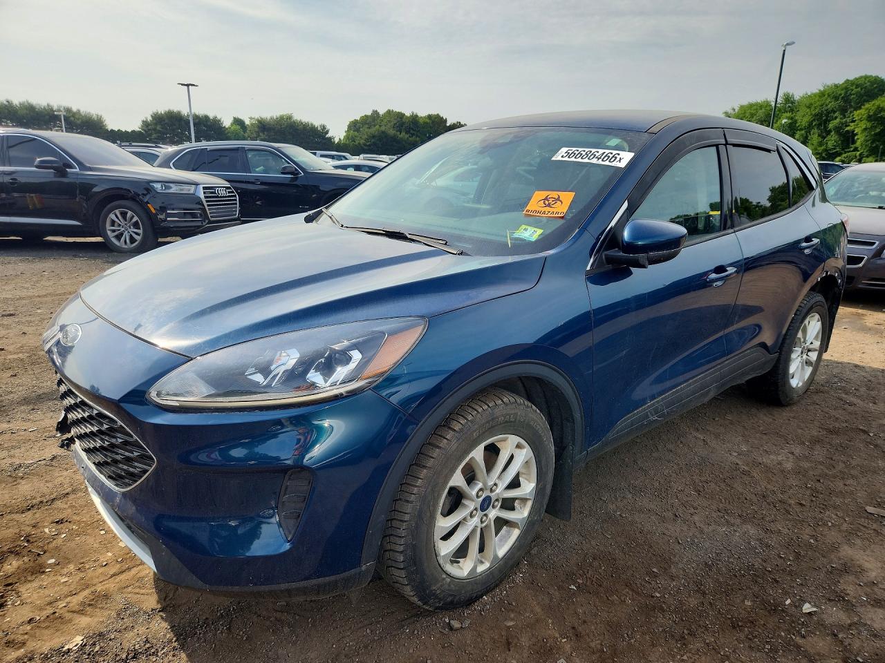Salvage Ford Escape Image