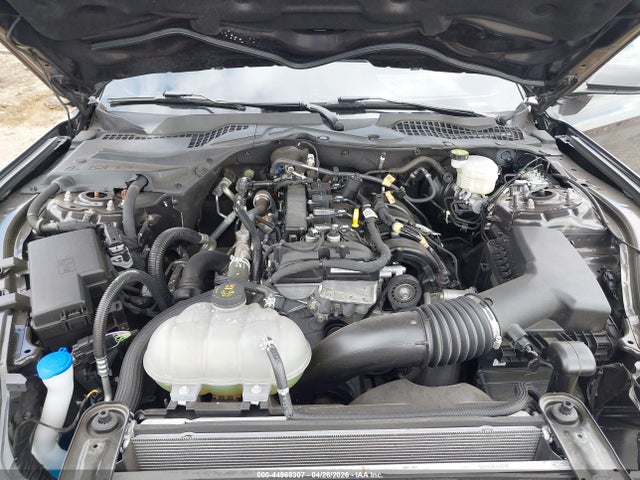 Ford Mustang Ecoboost Fastback