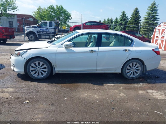Honda Accord Ex-l V-6
