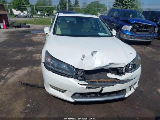 Honda Accord Ex-l V-6