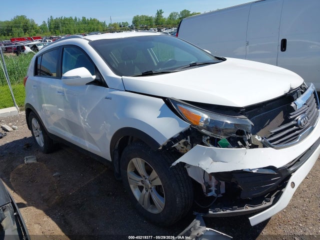 Salvage Kia Sportage Image