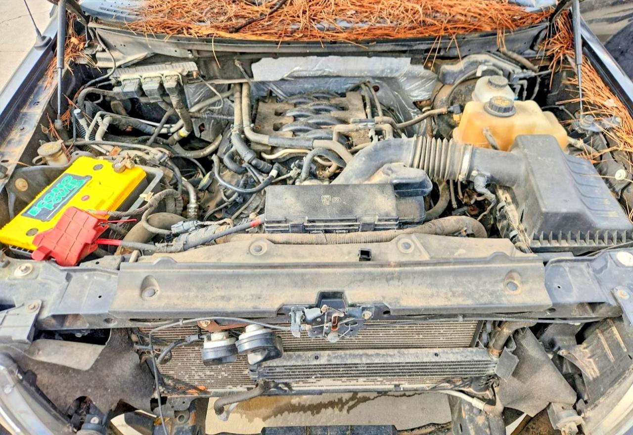 Ford Other Platinum