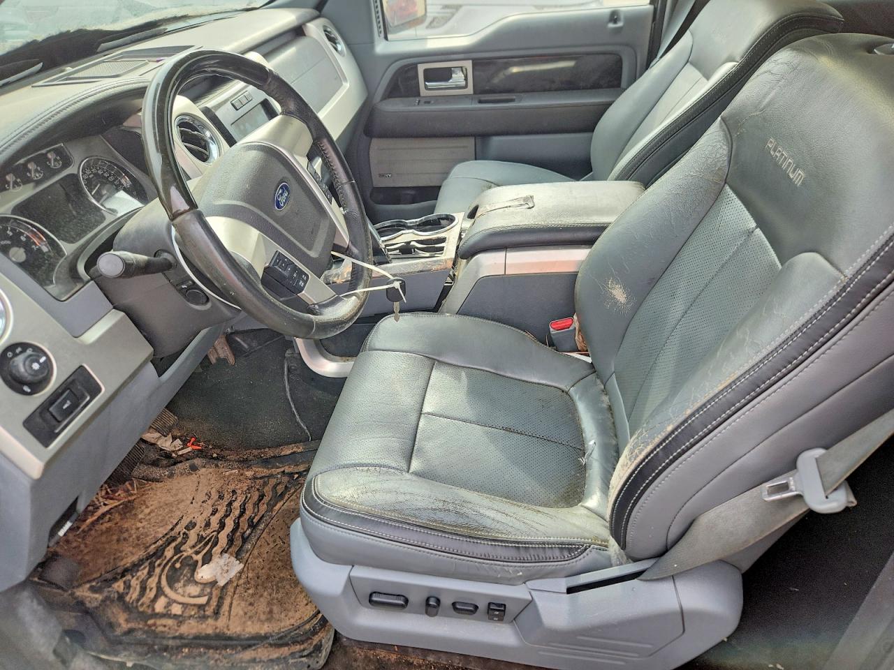 Ford Other Platinum