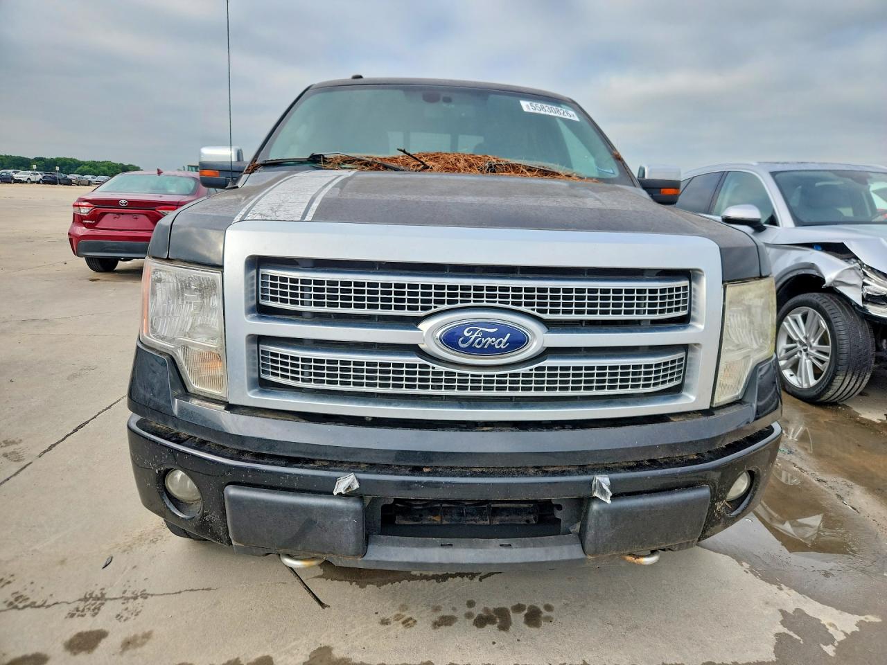 Ford Other Platinum
