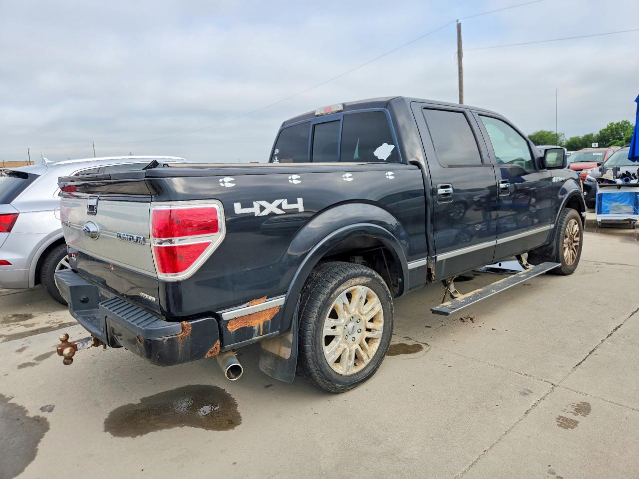 Ford Other Platinum