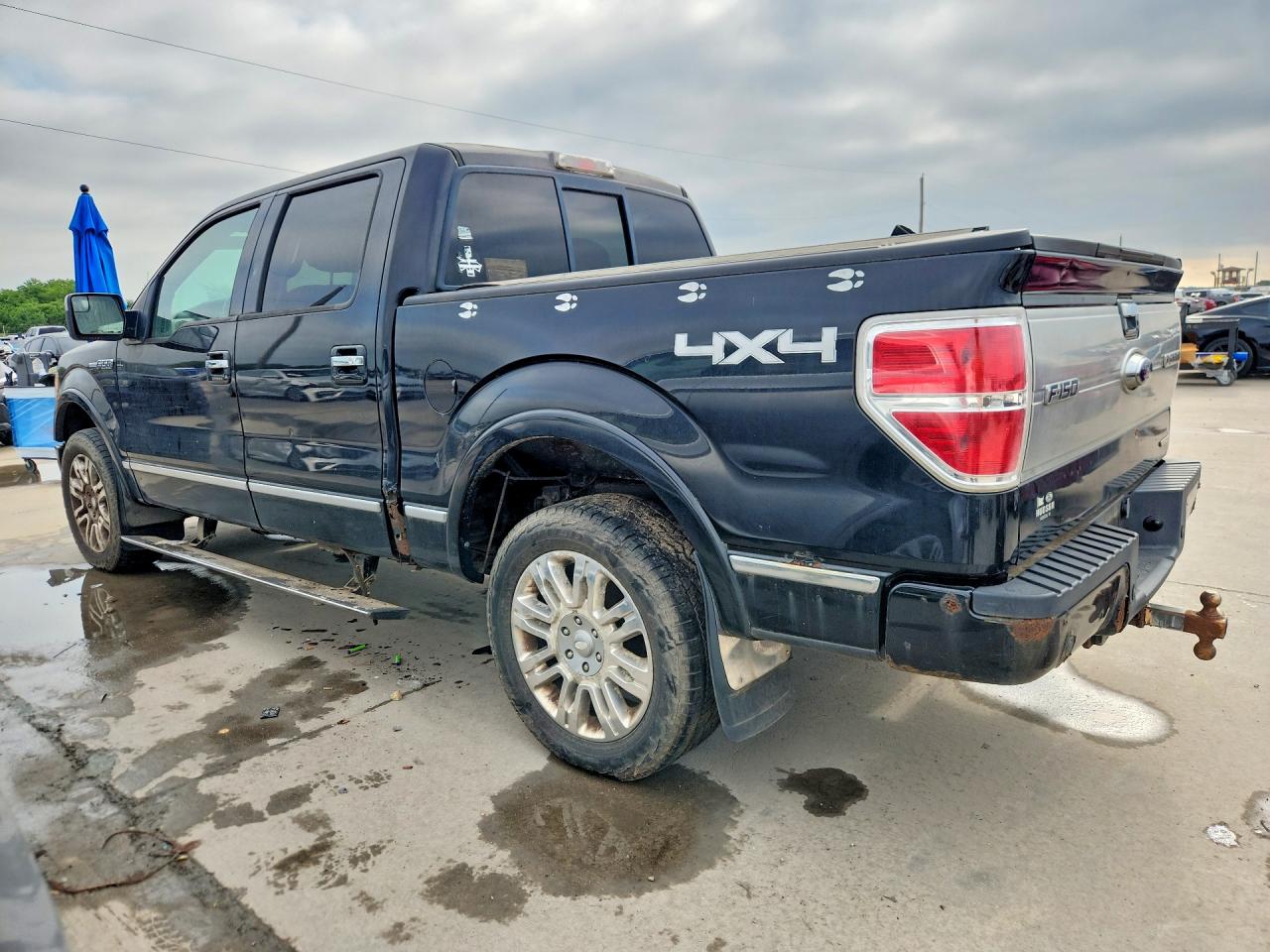 Ford Other Platinum