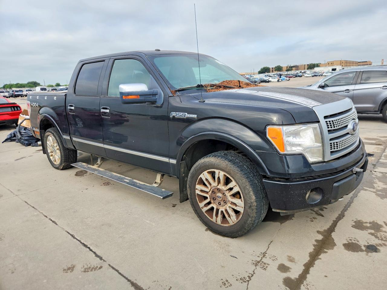 Ford Other Platinum