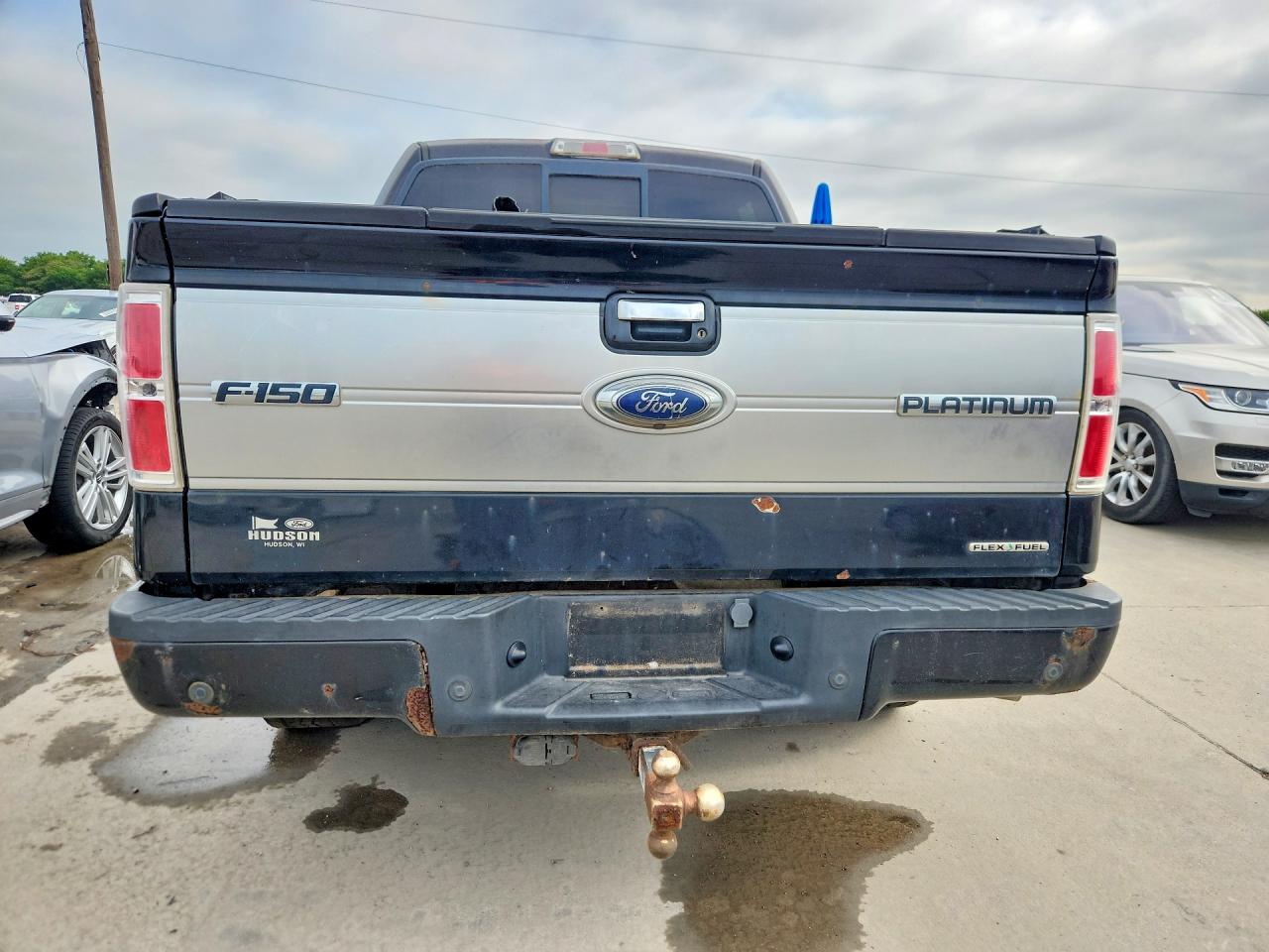 Ford Other Platinum