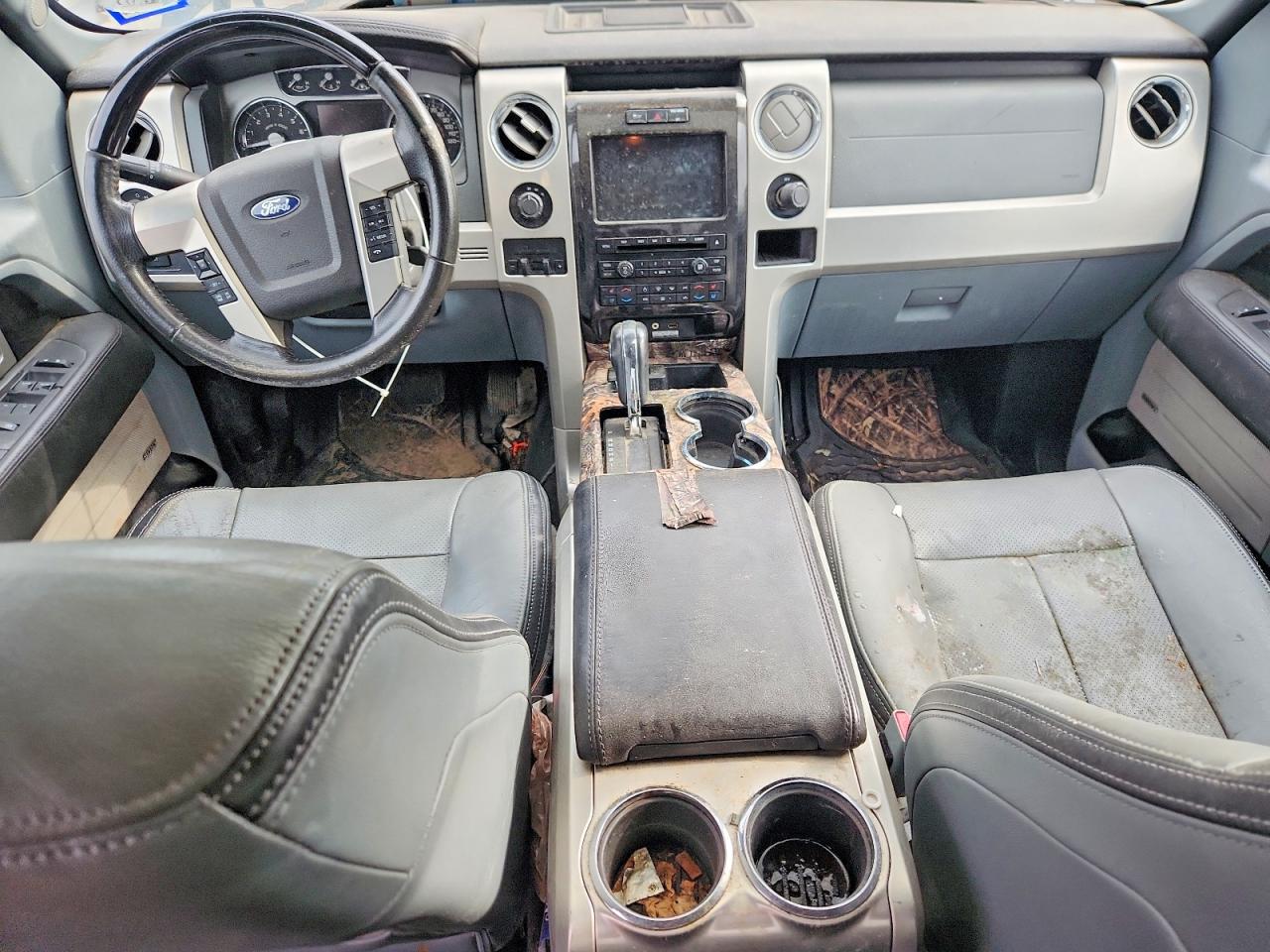 Ford Other Platinum
