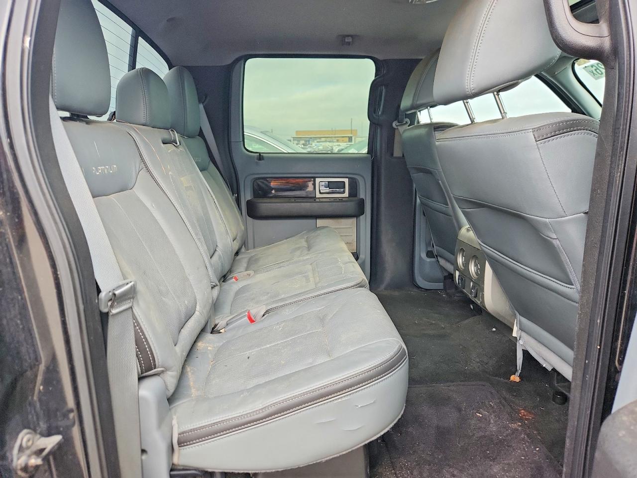 Ford Other Platinum