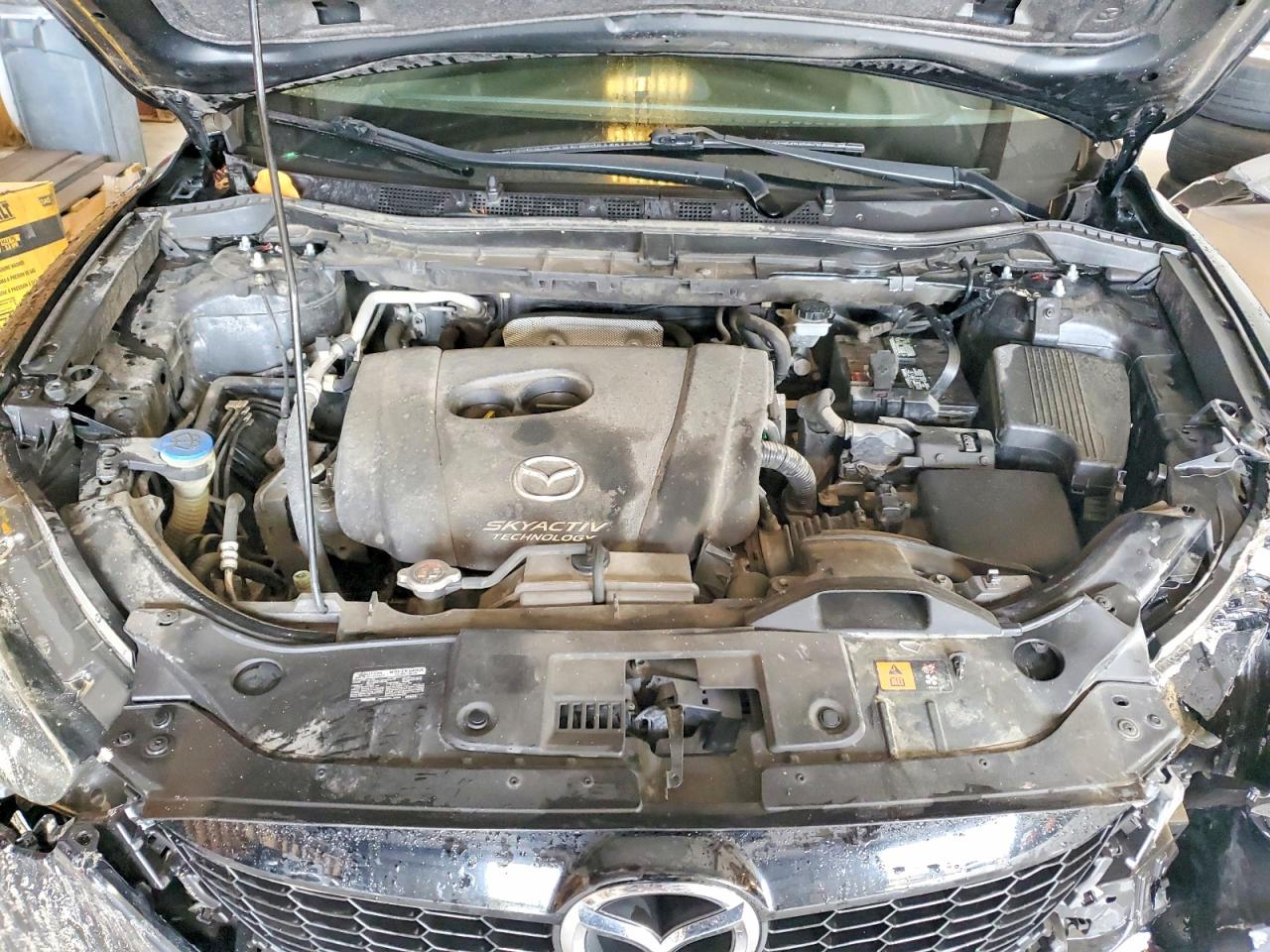Mazda Cx Sport