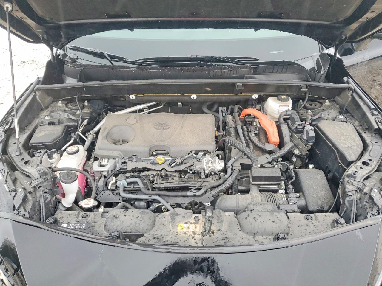 Toyota Venza Xle