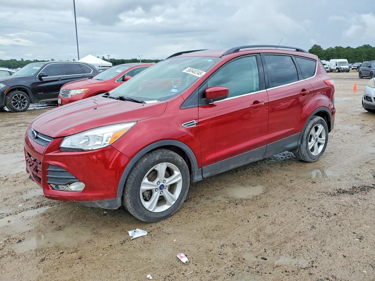 Salvage Ford Escape Image
