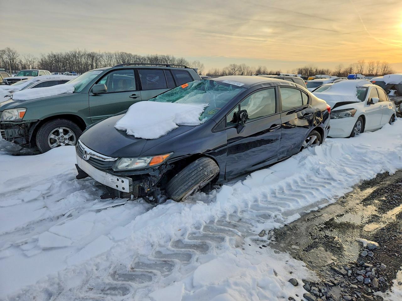 Salvage Honda Civic Image