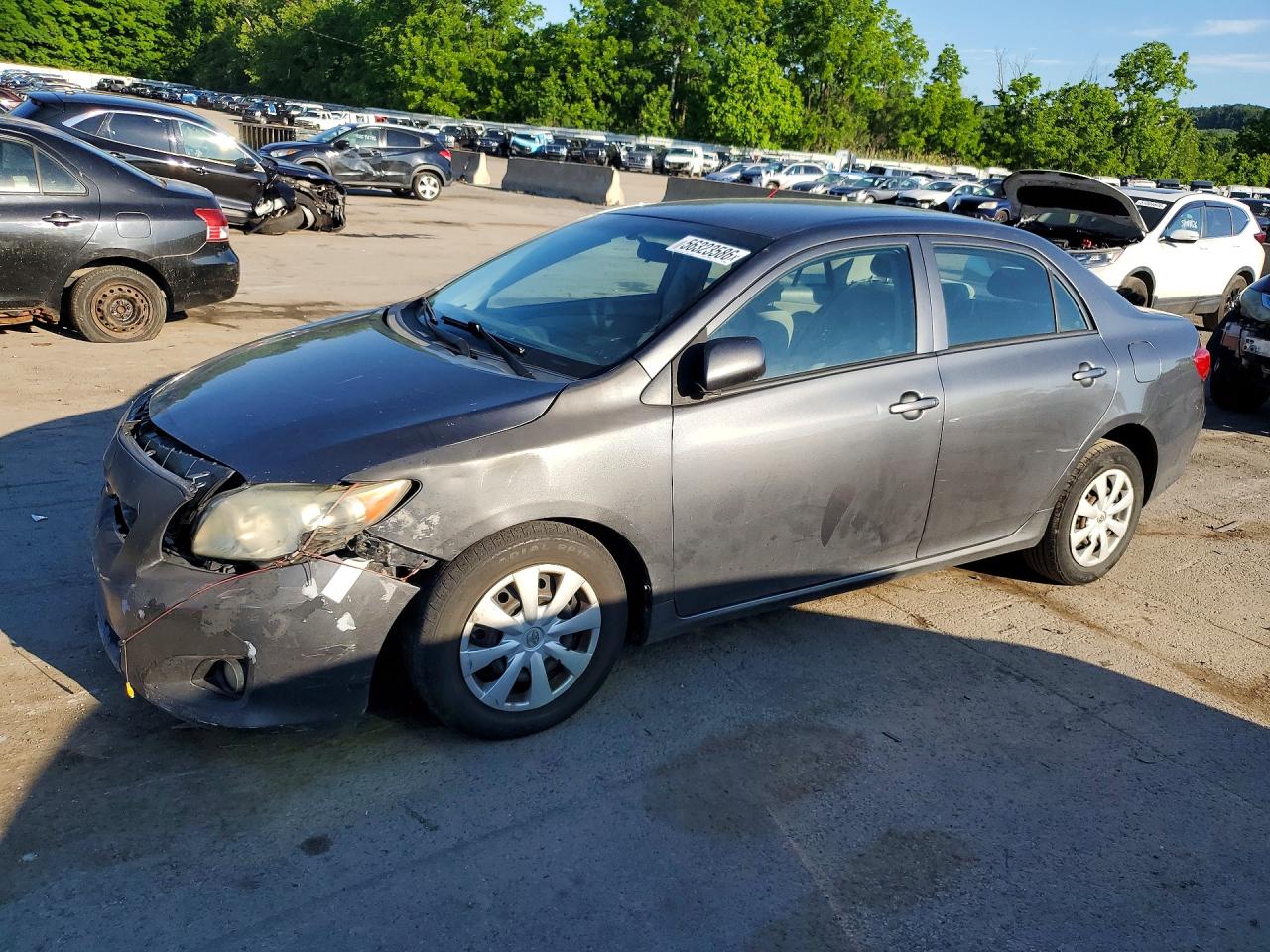 Salvage Toyota Corolla Image