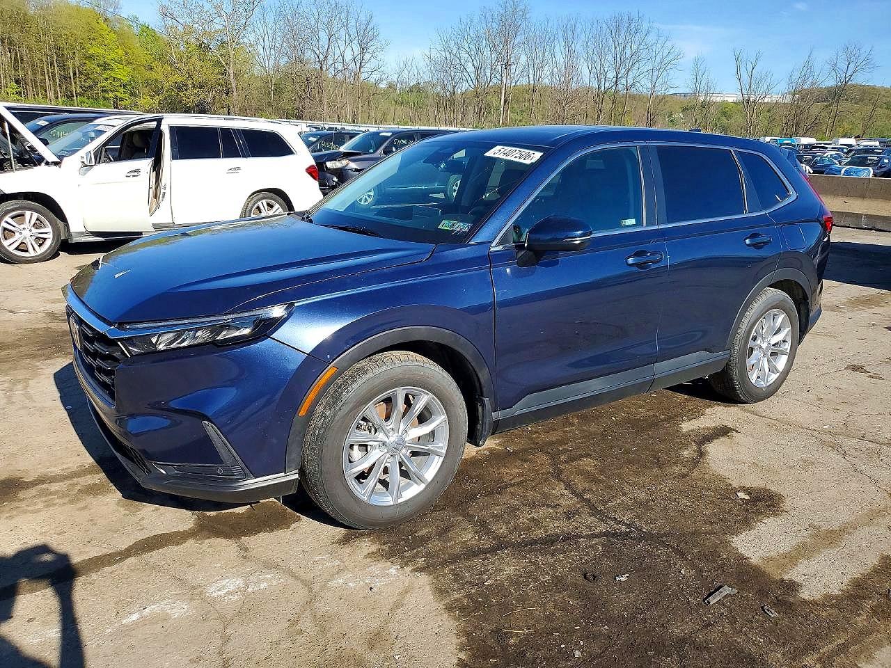 Salvage Honda Crv Image