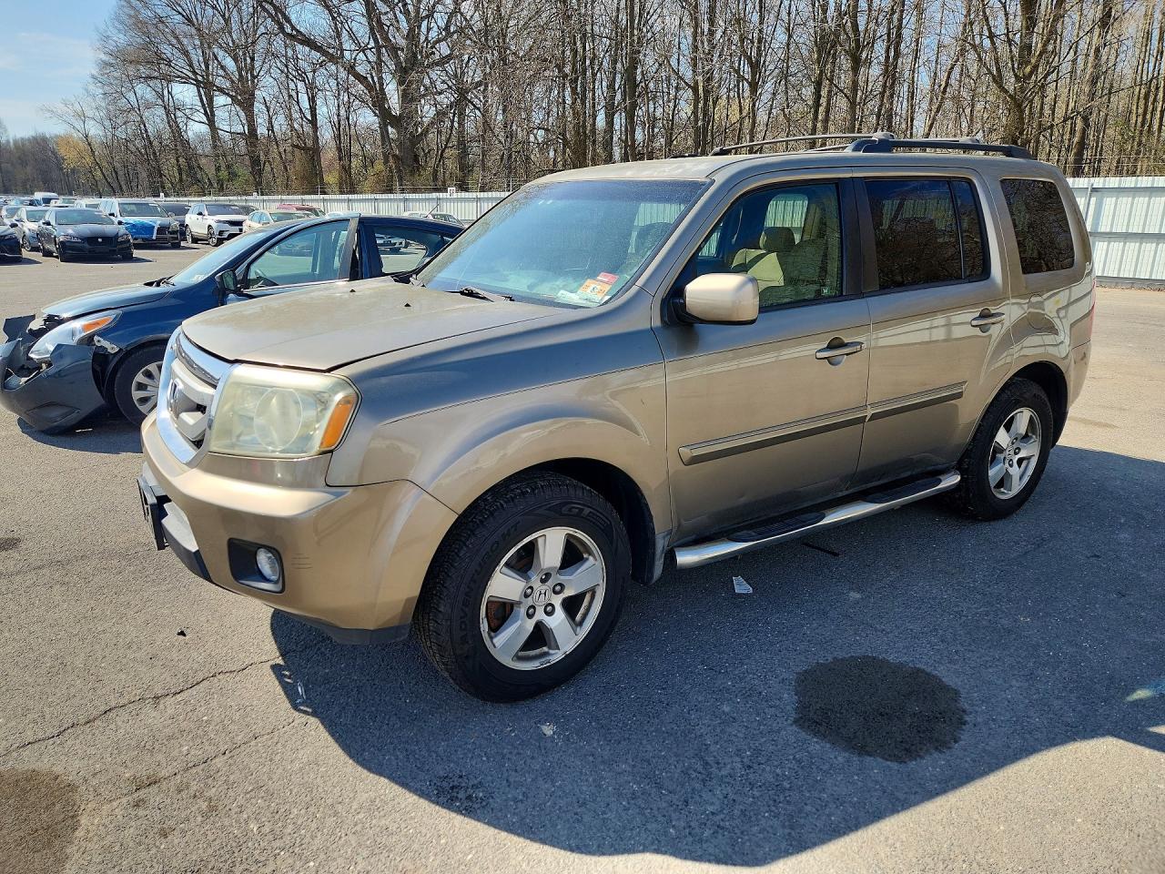 Salvage Honda Pilot Image