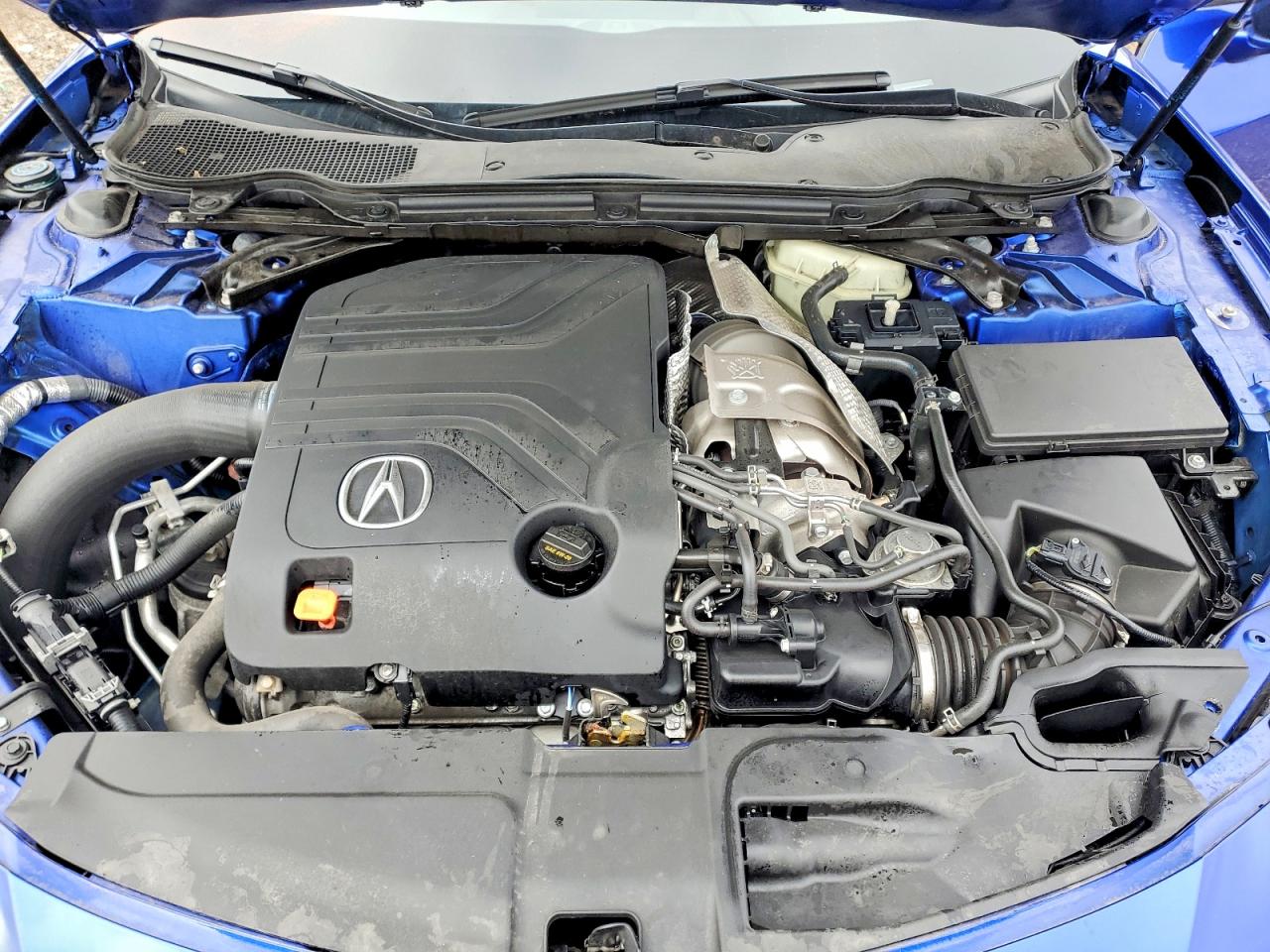 Acura TLX Type S