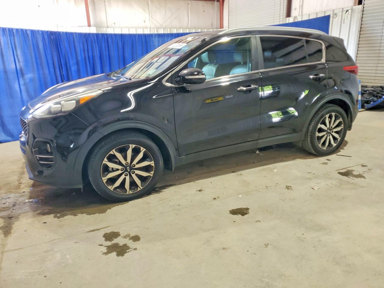 Salvage Kia Sportage Image