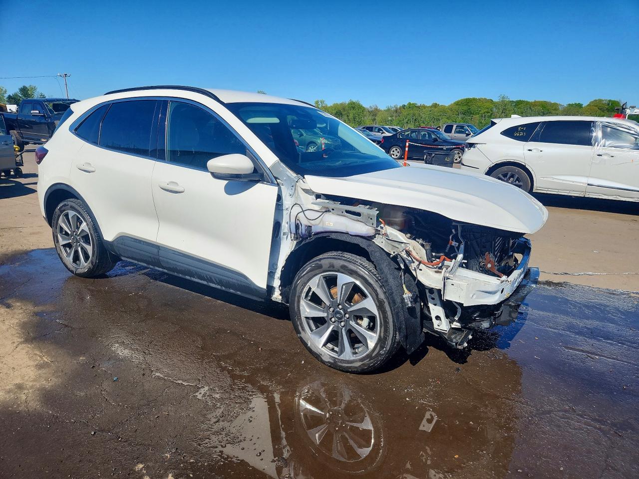 Ford Escape Platinum
