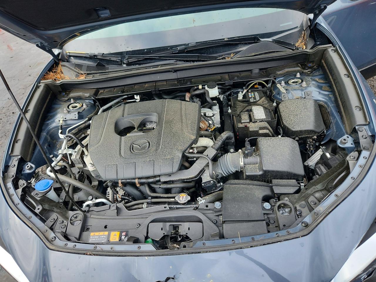 Mazda Cx Preferred