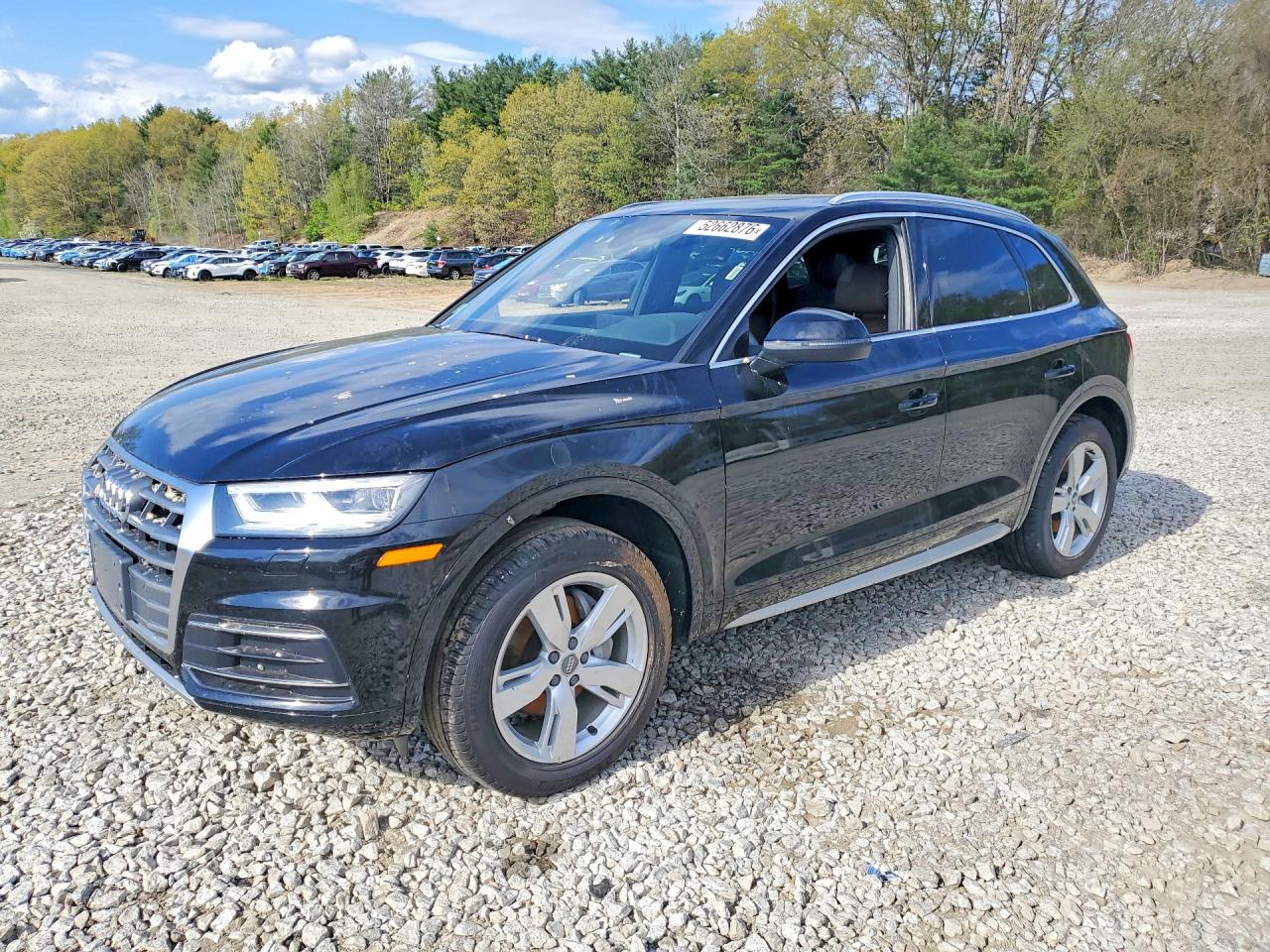 Salvage Audi Q5 Image