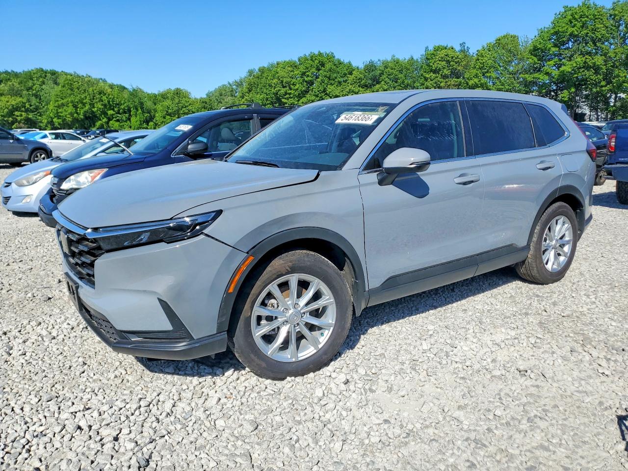 Salvage Honda Crv Image