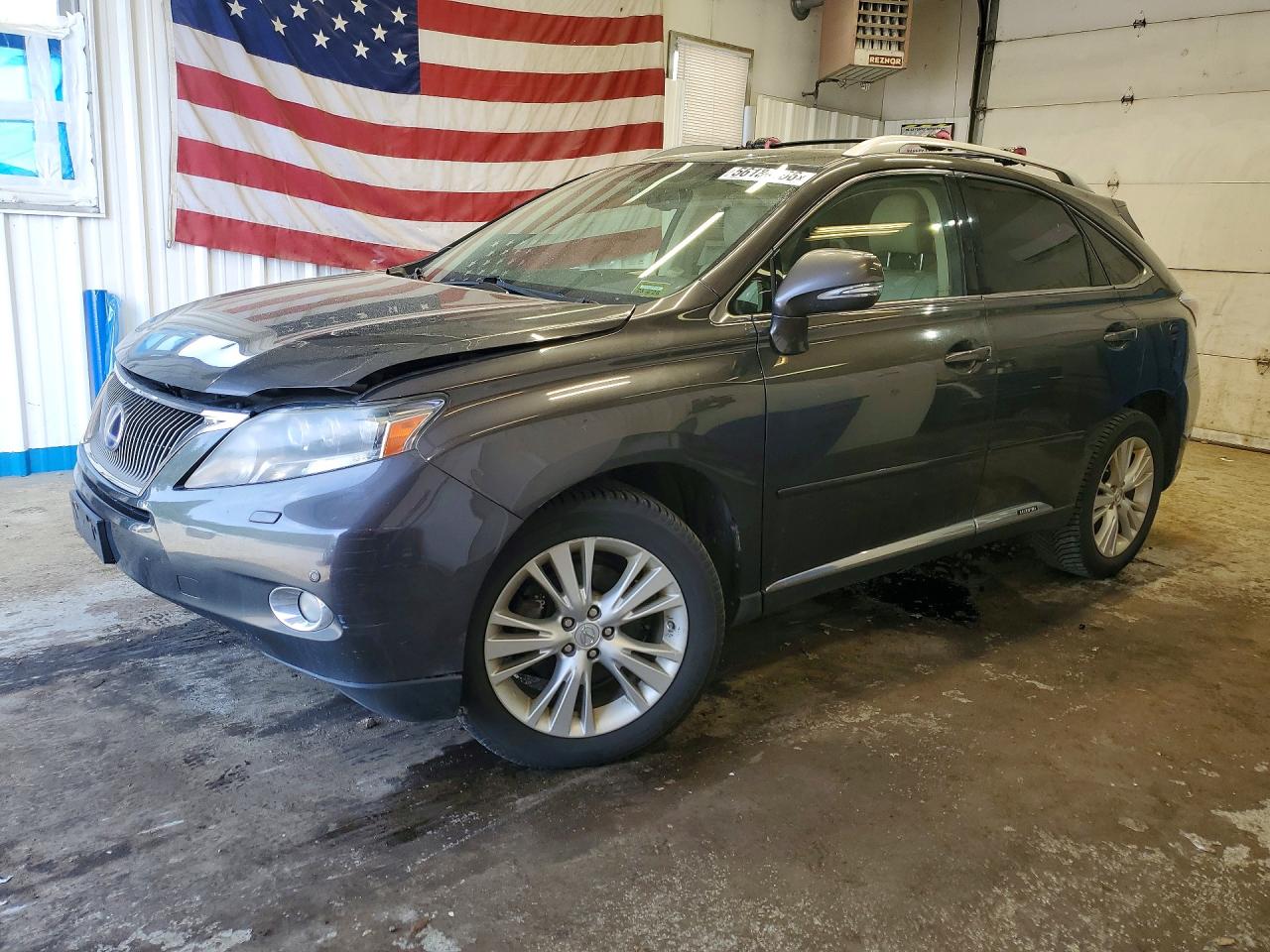 Salvage Lexus RX Image