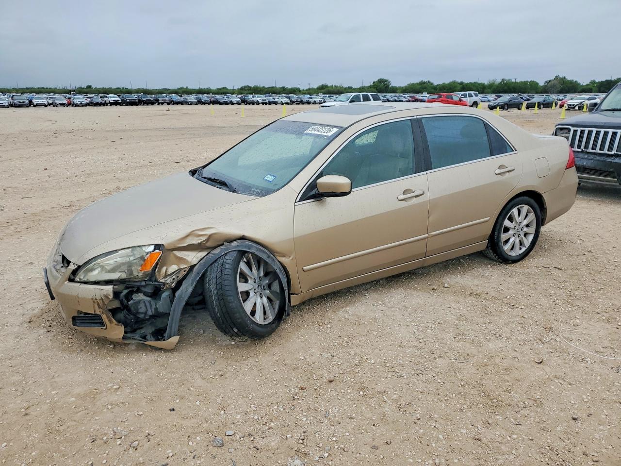 Salvage Honda Accord Image