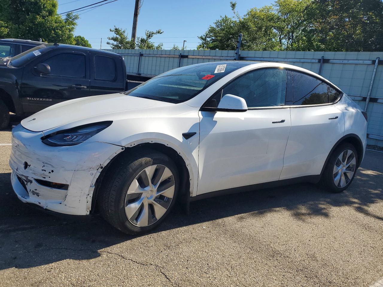 Salvage Tesla Model Y Image