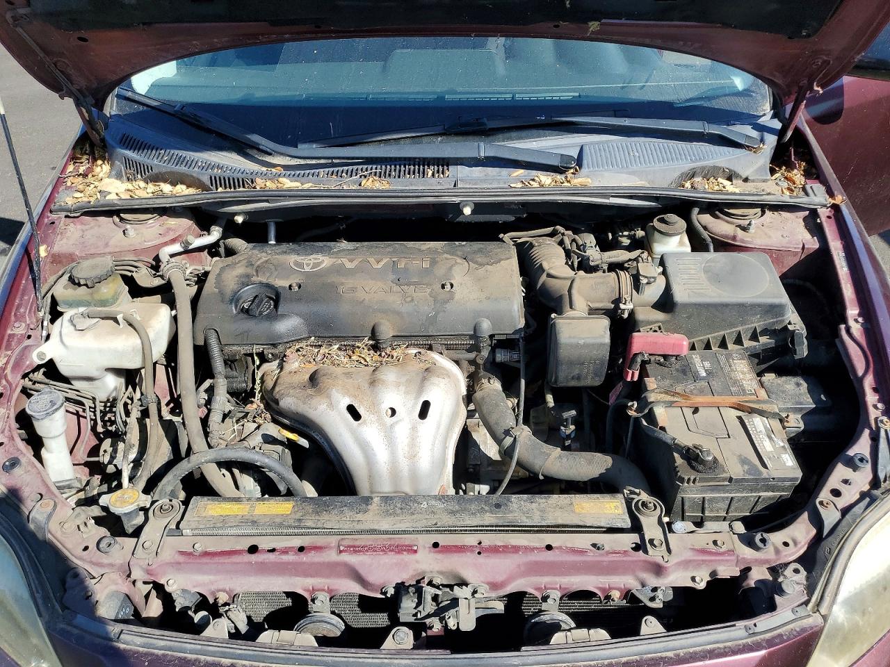 Scion TC Base