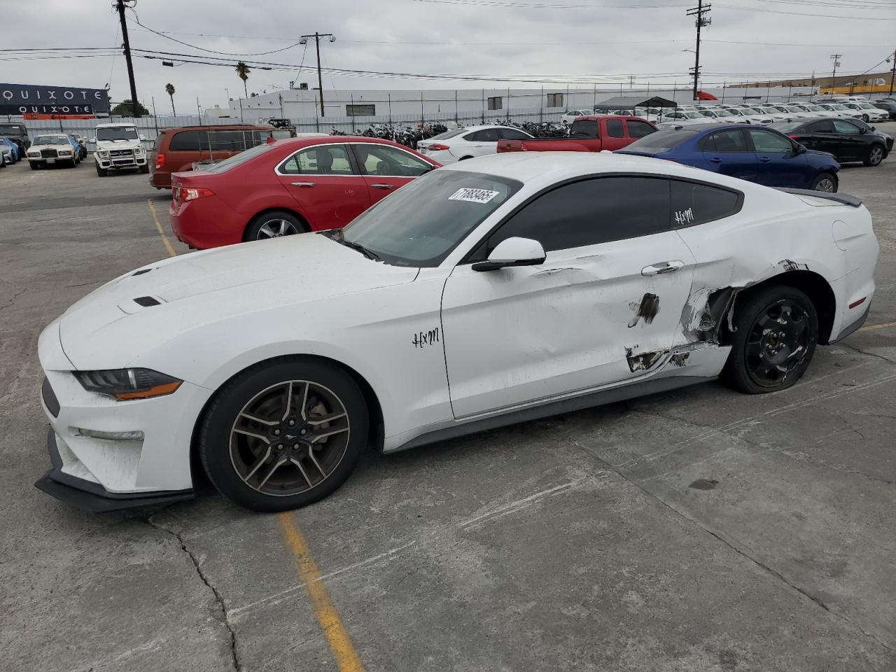 Salvage Ford Mustang Image