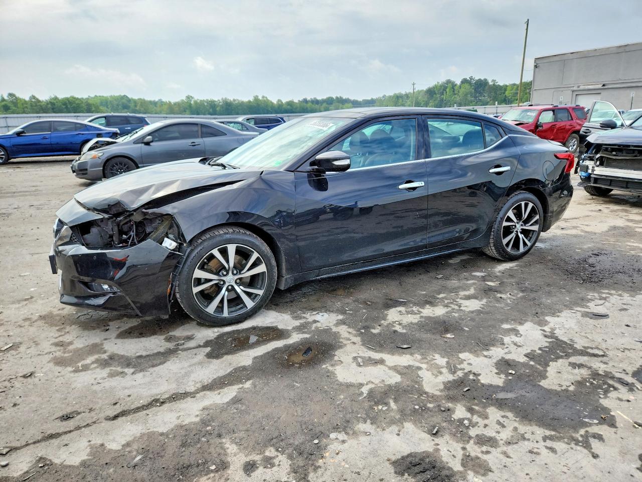 Salvage Nissan Maxima Image