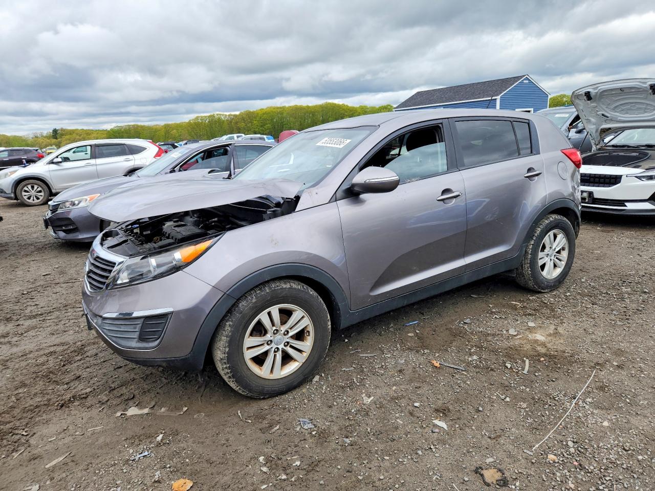 Salvage Kia Sportage Image