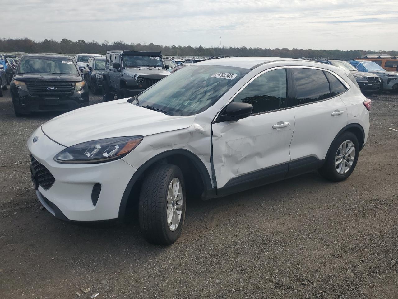 Salvage Ford Escape Image