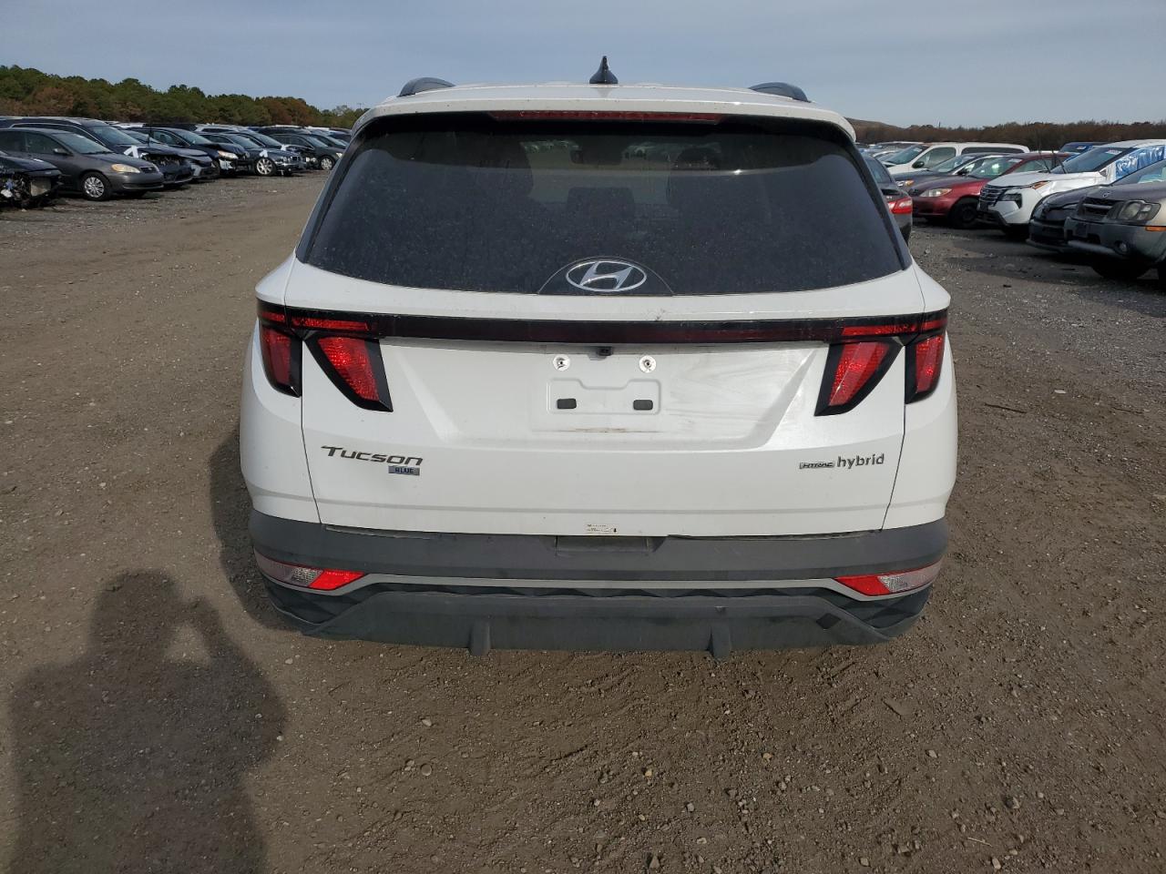 Hyundai TUCSON Blue