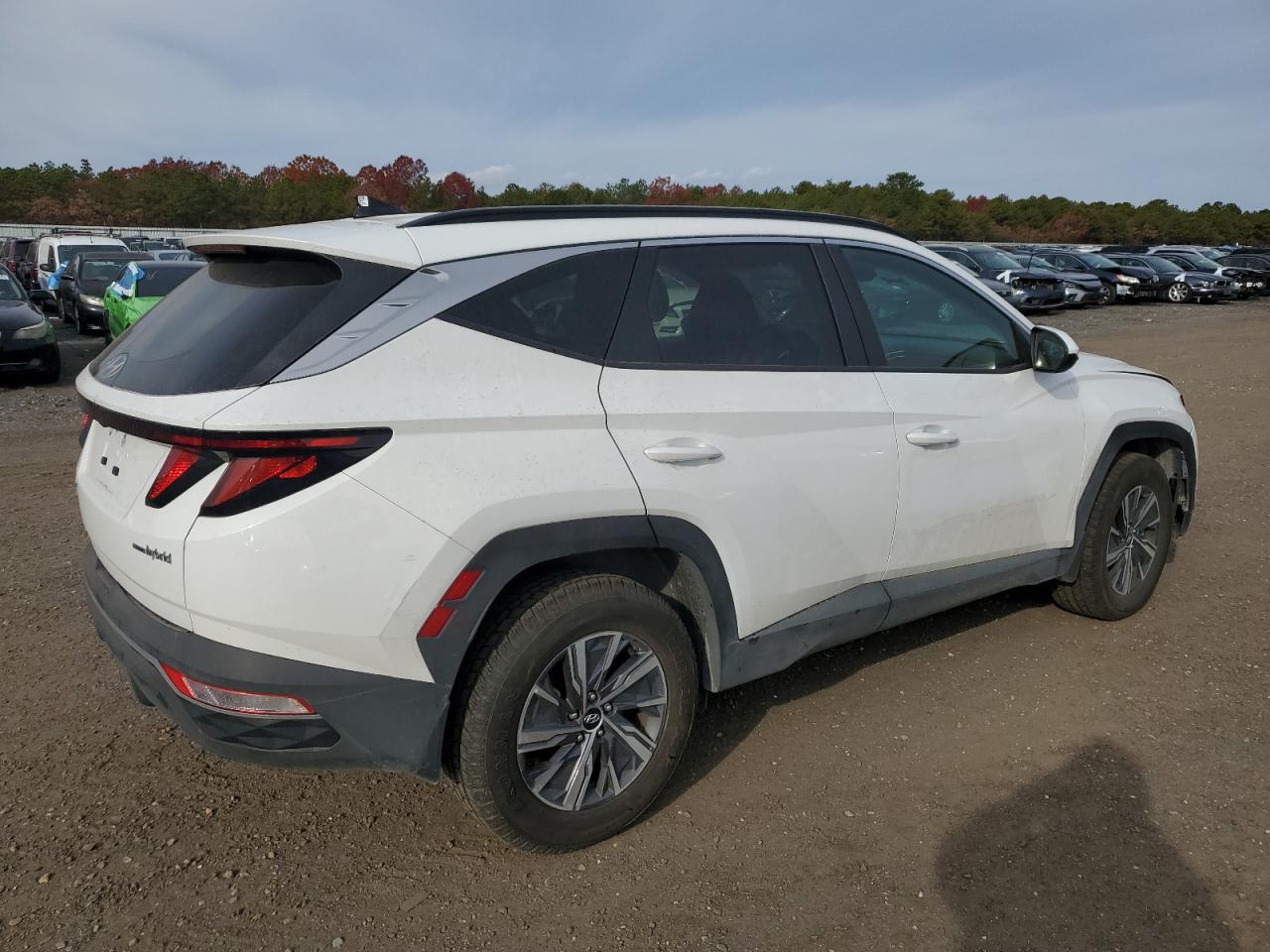 Hyundai TUCSON Blue