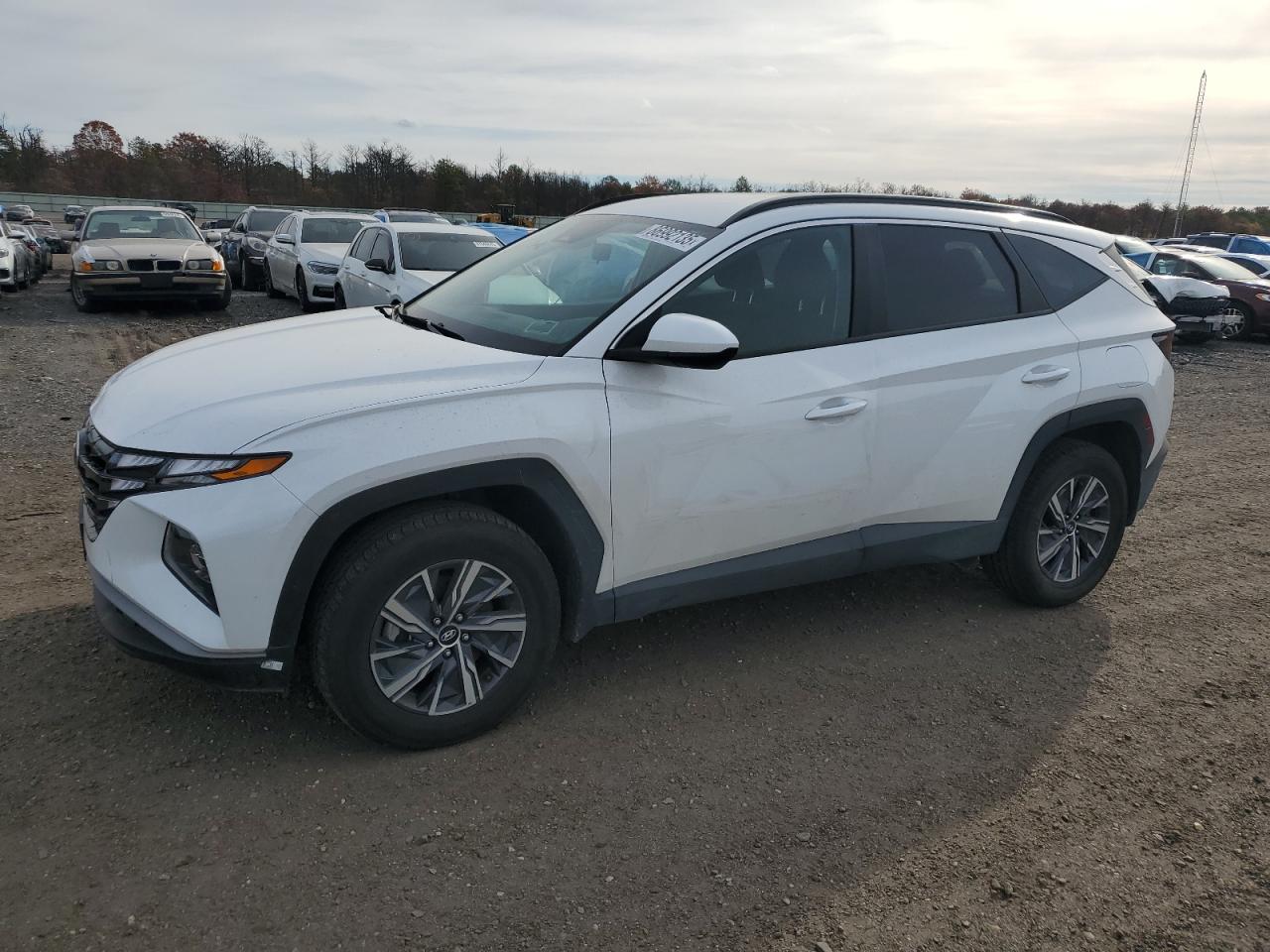 Salvage Hyundai TUCSON Image