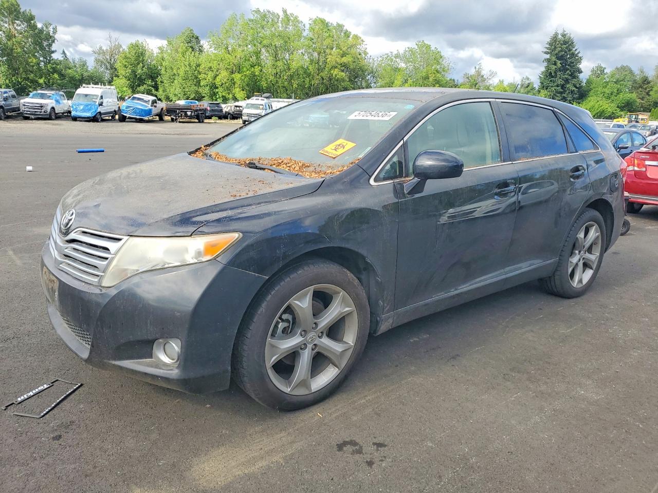 Salvage Toyota Venza Image