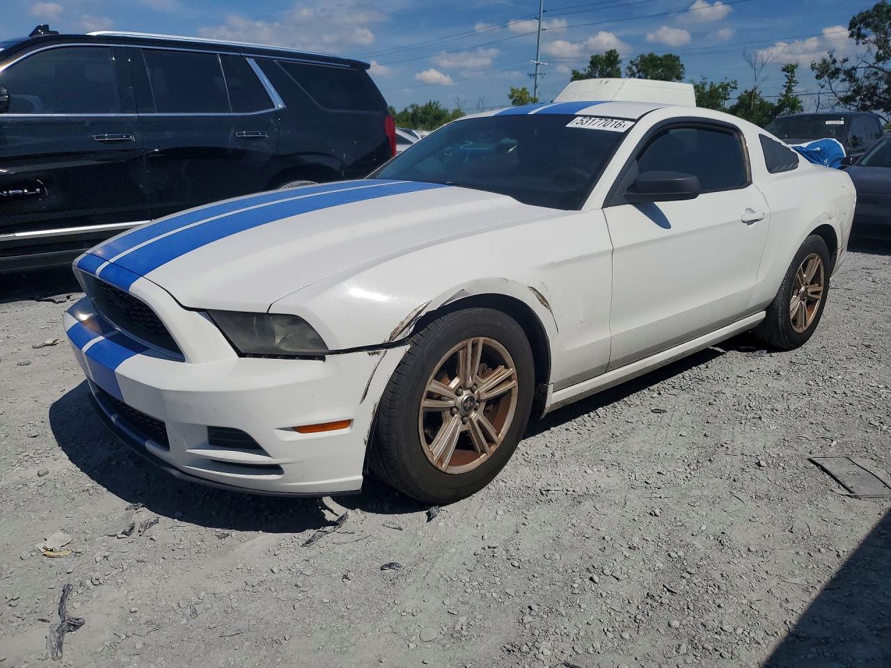 Salvage Ford Mustang Image