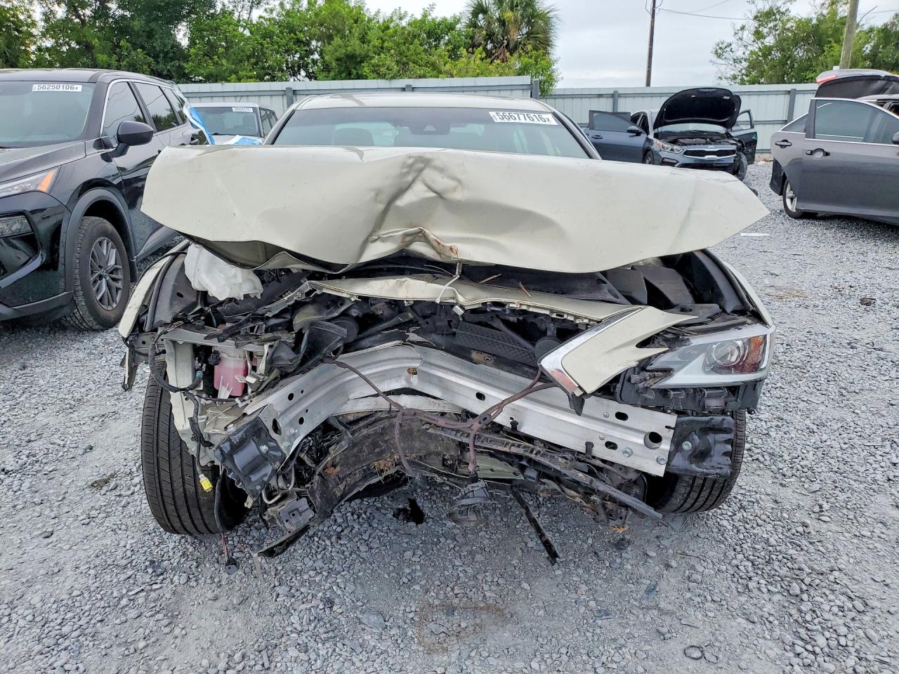 Lexus Es 300h