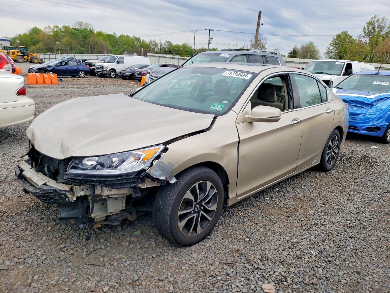 Salvage Honda Accord Image