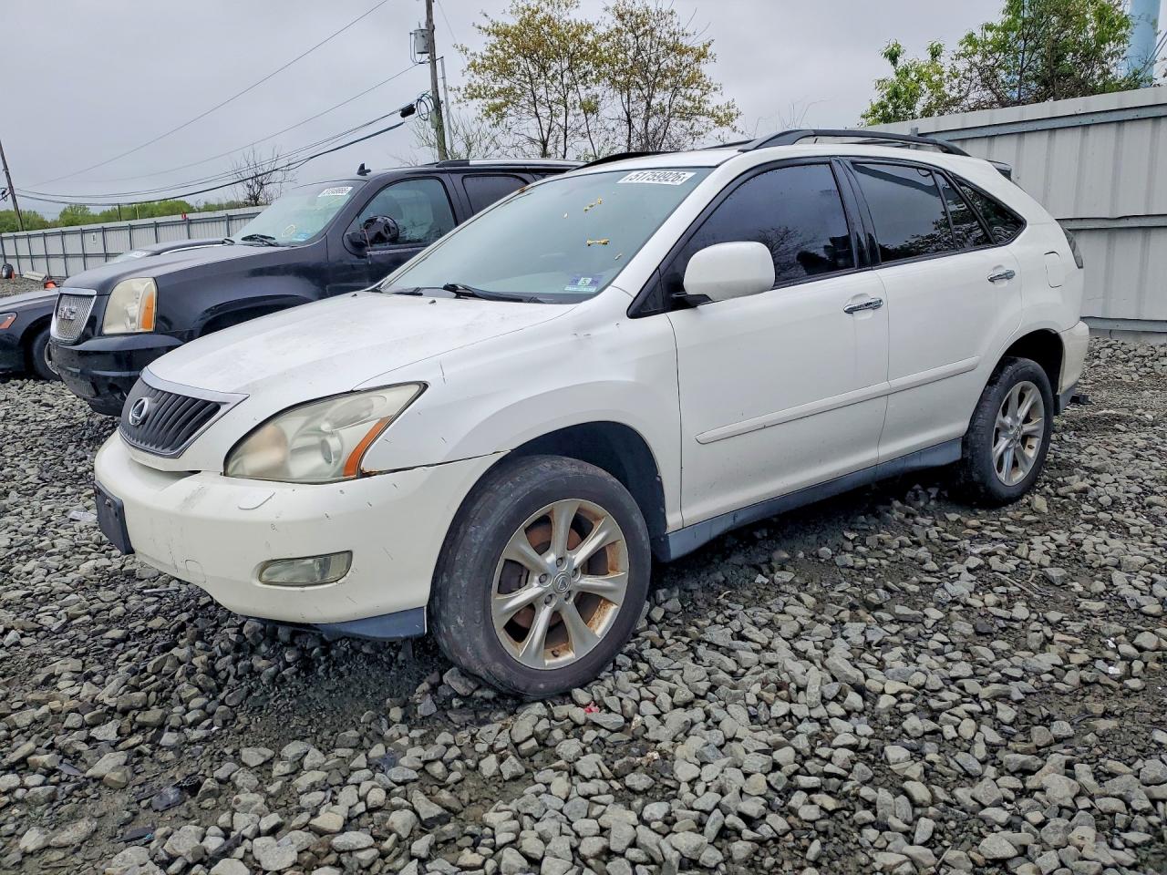 Salvage Lexus RX Image