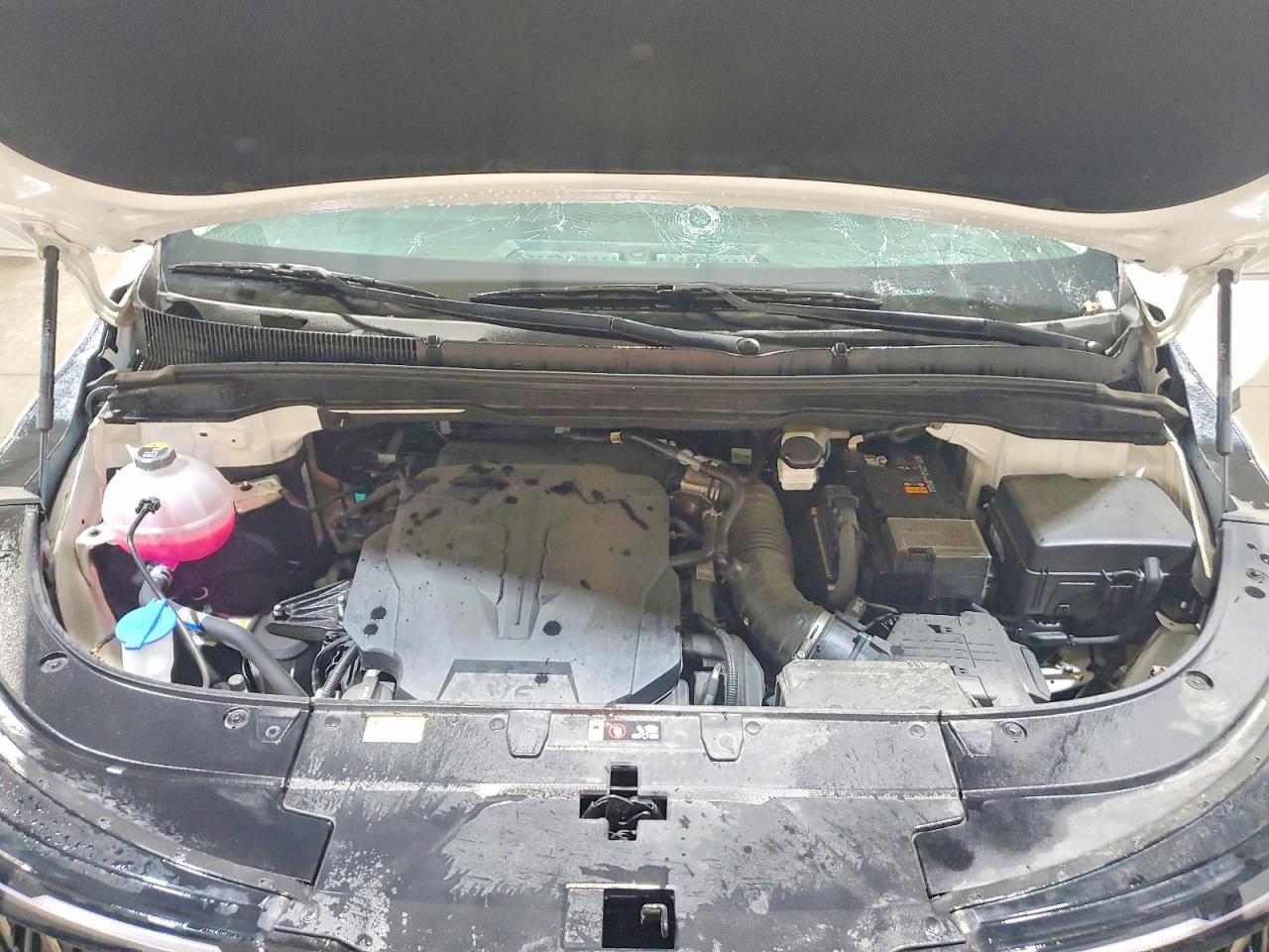 Kia Carnival Lxs