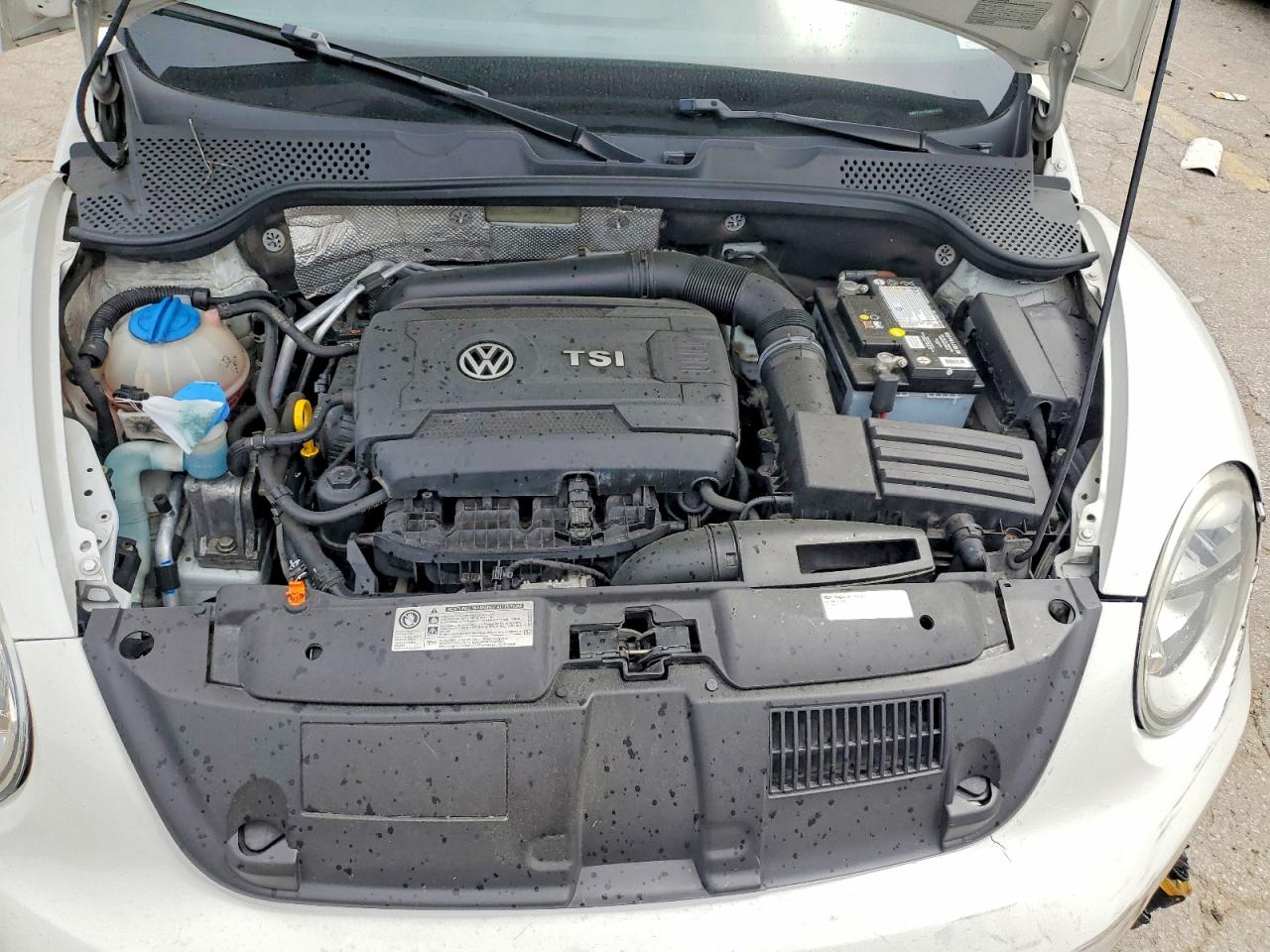Volkswagen Beetle Turbo