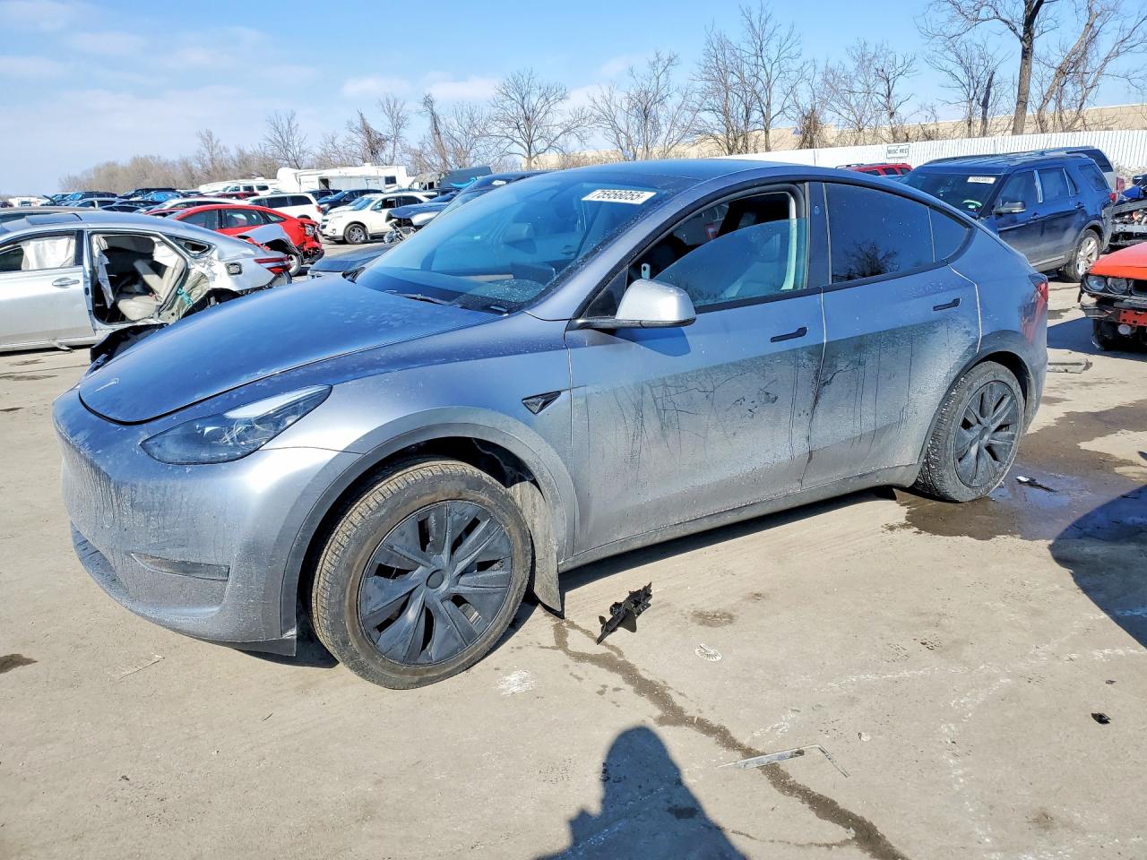 Salvage Tesla Model Y Image