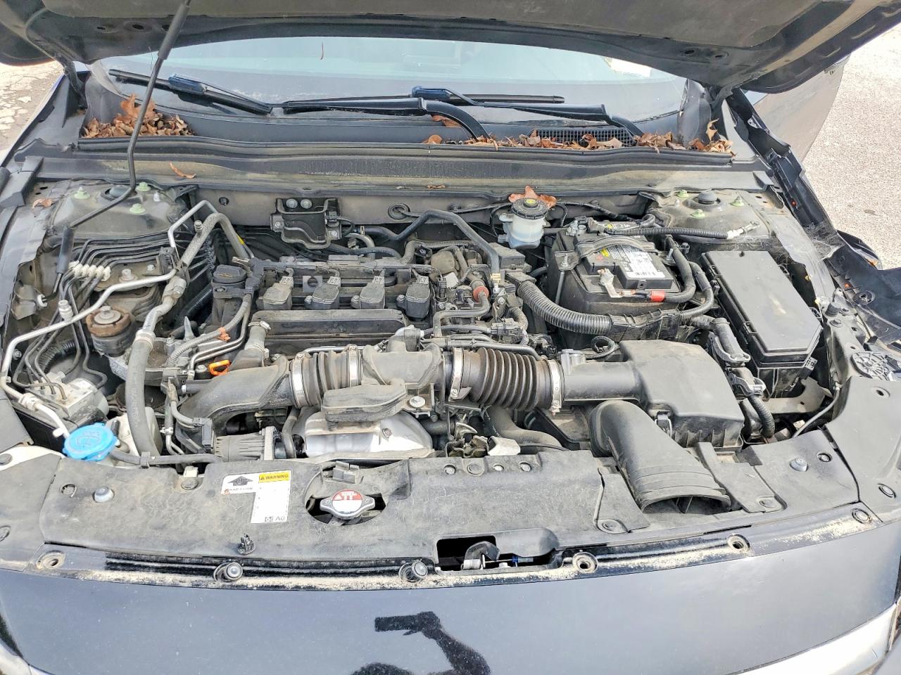 Honda Accord Sport